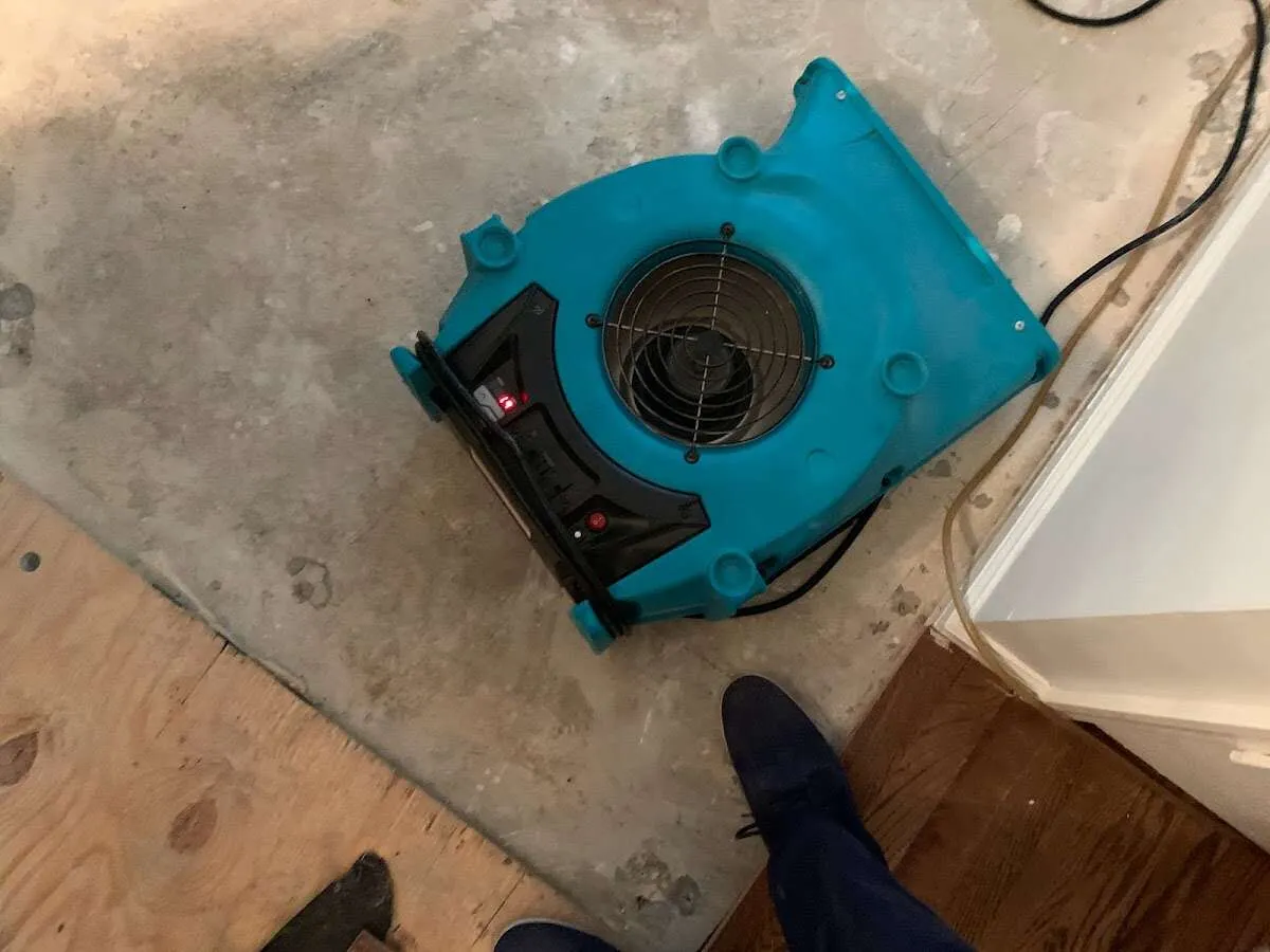 Air mover drying subfloor during Leak Detection & Repair in Sandwich